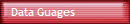 Data Guages